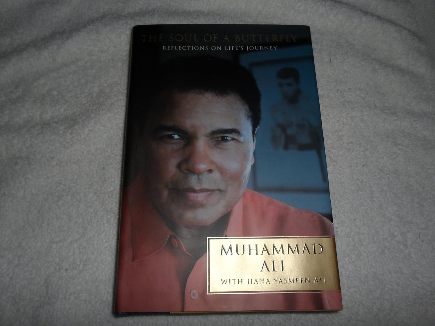 The Soul of a Butterfly book cover